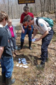 Adult/baby matching game.