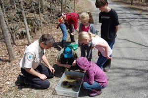 Alive with creatures!