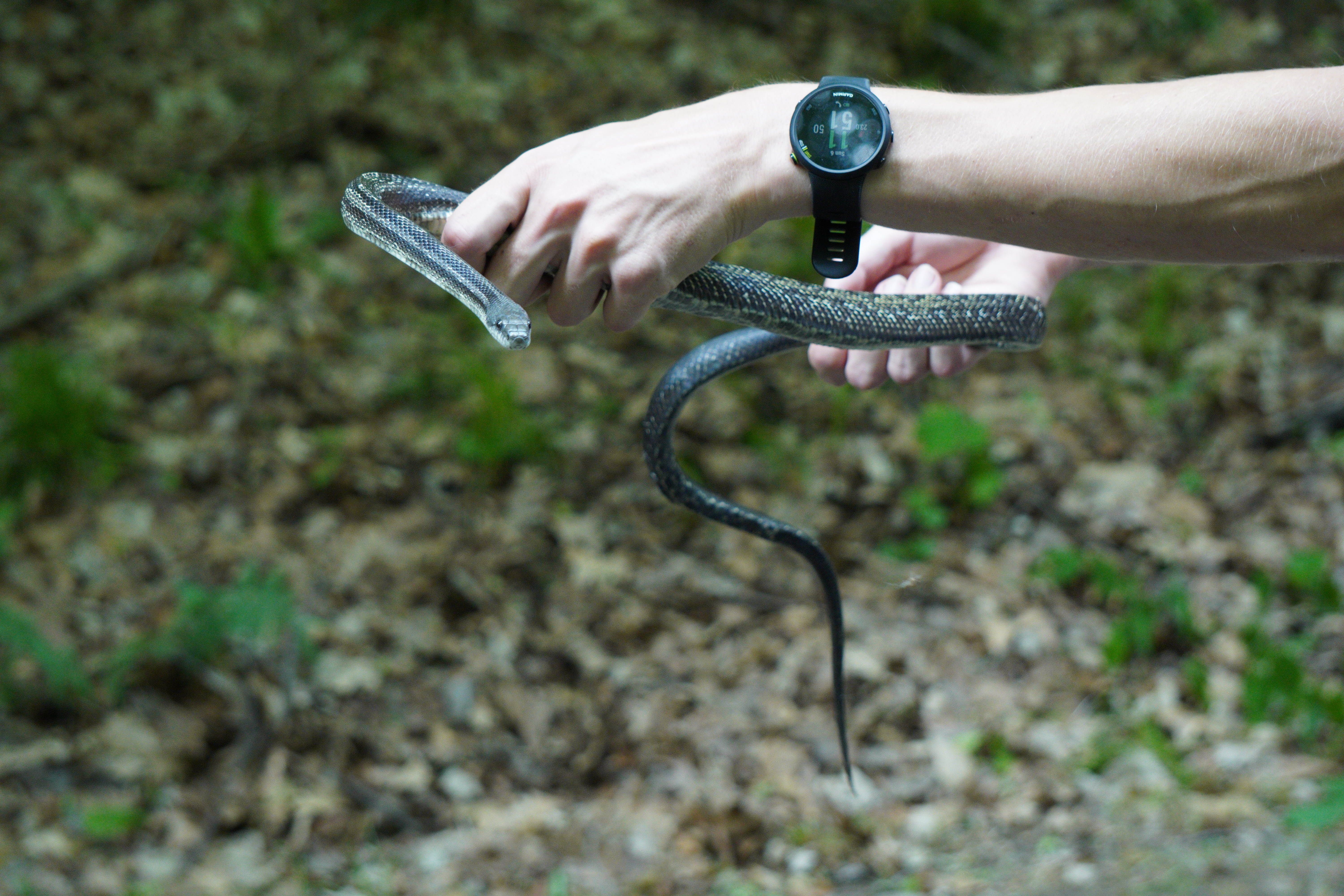 152423107A June 6 2021 a